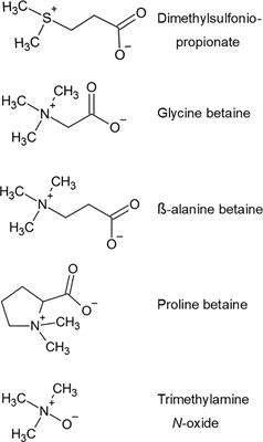 Quaternary Ammonium Compounds as Candidate Photoprotective Compounds in Reef-Building Corals